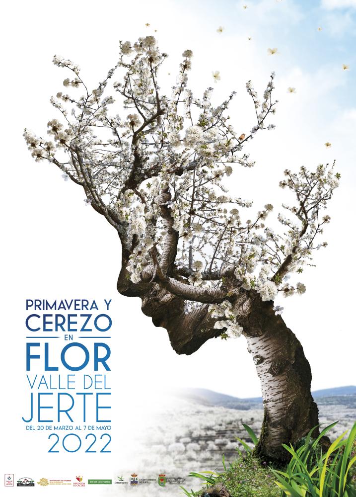 Imagen Primavera y Cerezo en Flor 2022
