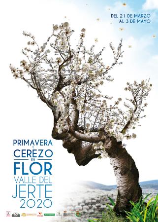 Imagen Cerezo en Flor 2020