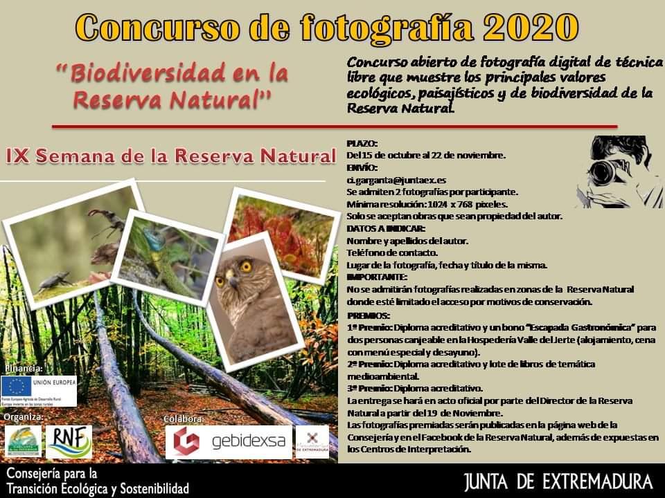 Imagen Concurso de Fotografia 2020